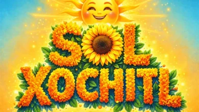 sol xochitl