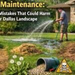 Lawn Maintenance