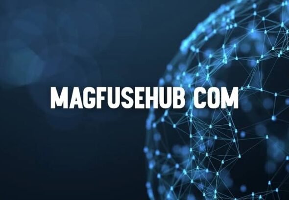 magfusehub com