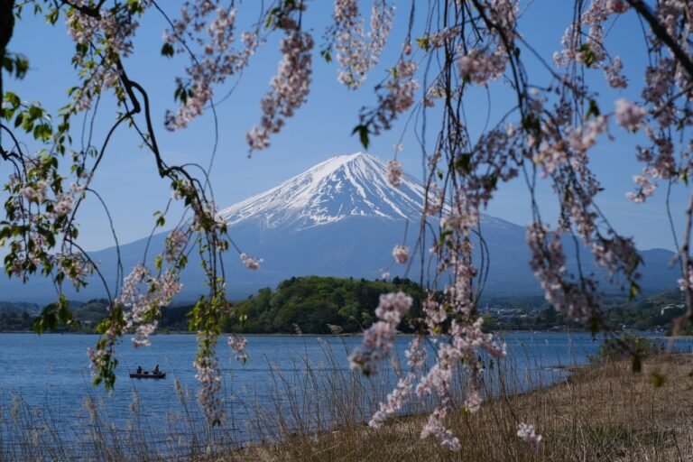 Mount Fuji with cherry blossoms -- Nummazaki guide to the Numazu coast, Shizuoka, Japan