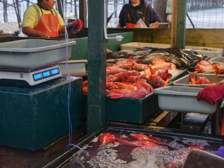 A vivid and bustling seafood market with fresh fish in trays and a scale.